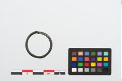Foto von Bronzering (NHMW-PRAE-024513)